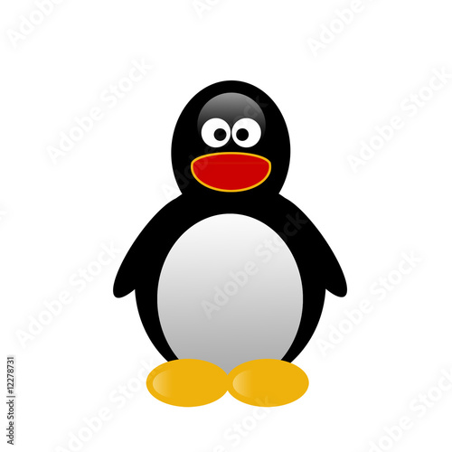 Illustration of penguin on white background