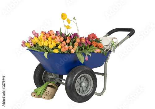 Fototapet wheelbarrow of flowers