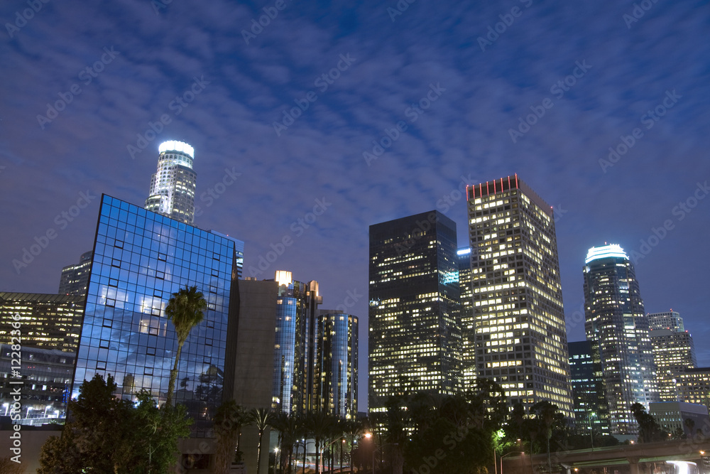 Naklejka premium Los Angeles skyline