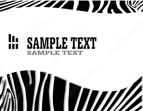vecror zebra abstract background with text