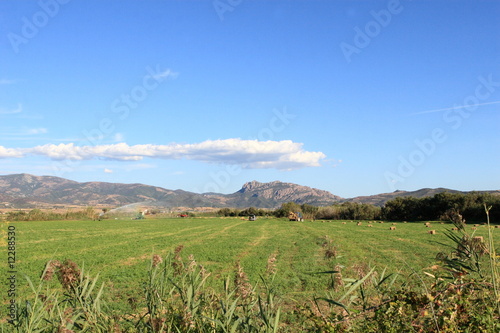 Paesaggio 02