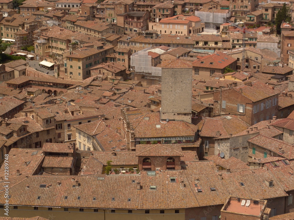 Dächer von Siena
