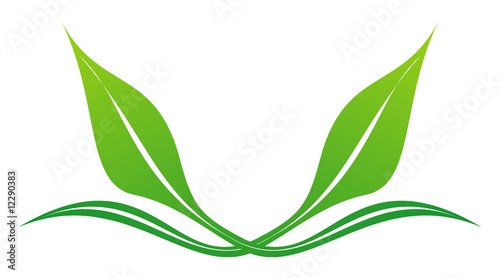 Leaf