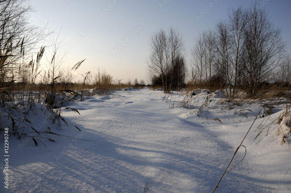 Obraz premium winter