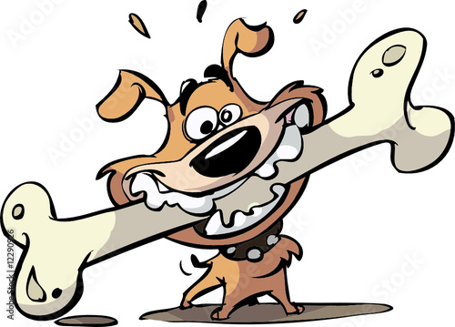 dog with big bone