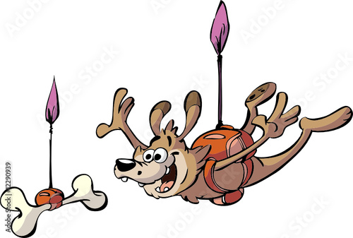 parachute dog