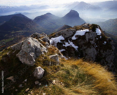 sommet en chartreuse