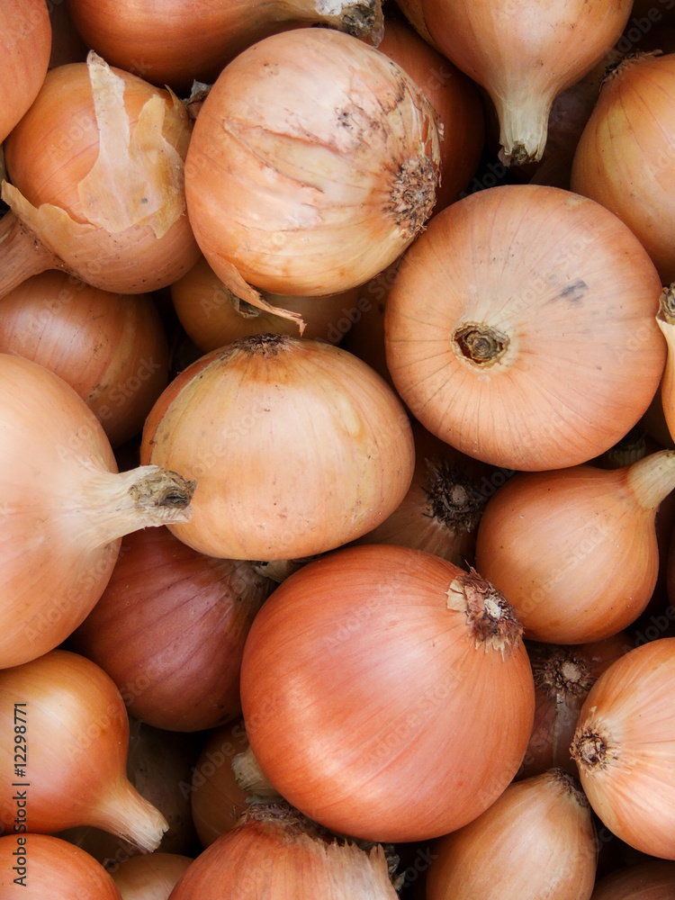 Crop of vegetables of onions napiform Crop of vegetables of onions napiform