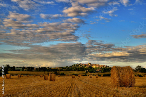 hay bales in a field in french