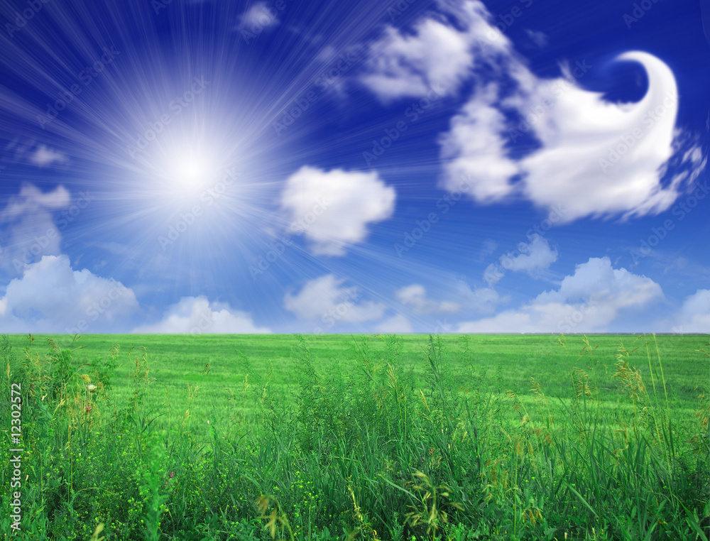 Obraz premium Green field beautiful