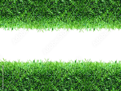 Spring, green grass background