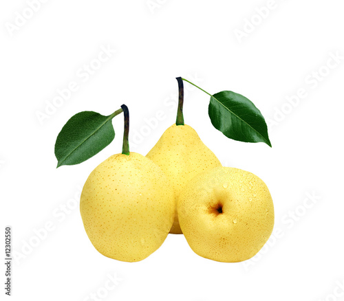 Three Yali Pears photo