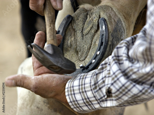 A coyboy fixes his horse's horseshoe