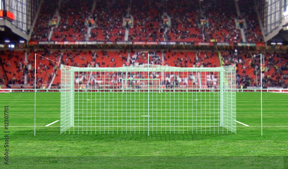 Obraz premium soccer stadium