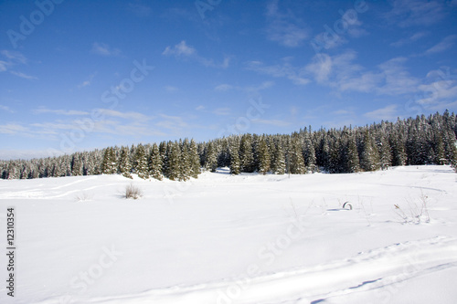Beatiful winter scene