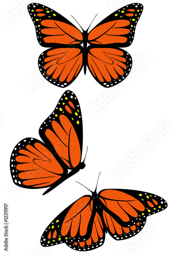 A set of three monarch butterflies