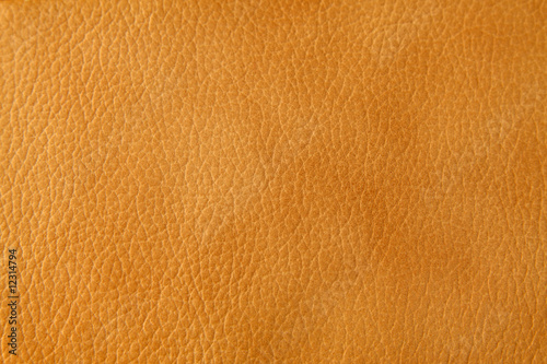 Photography cuir beige