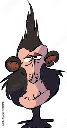 crazy monkey