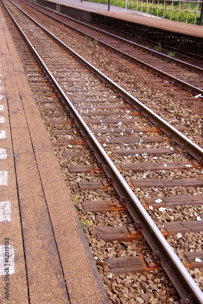 Rails of a railway