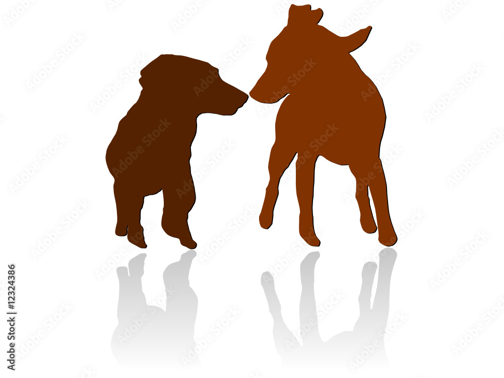 Hundeannäherung