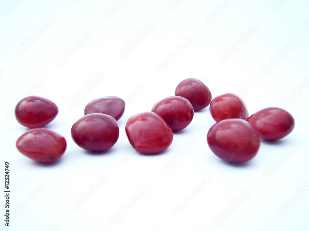 unity gem seeds unity gem seeds