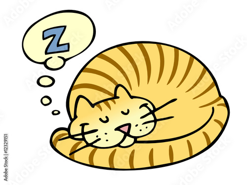 Sleeping Cat