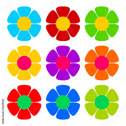 bunte blumenköpfe