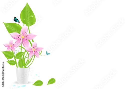 composition florale