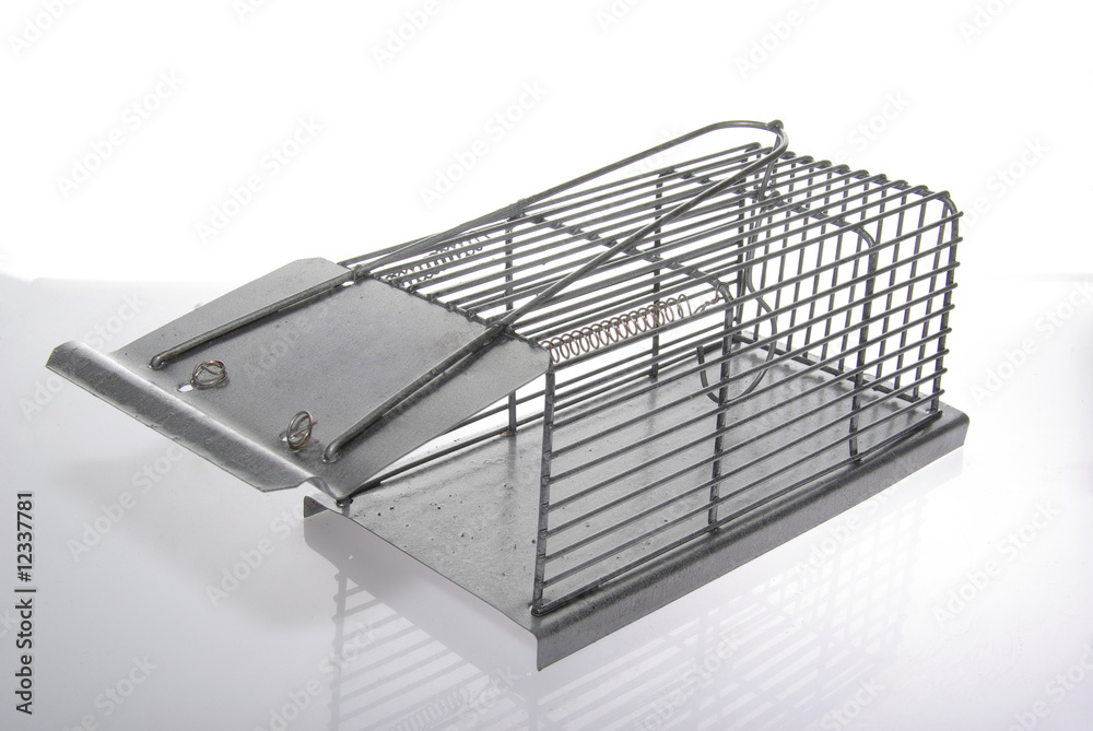 mousetrap mousetrap