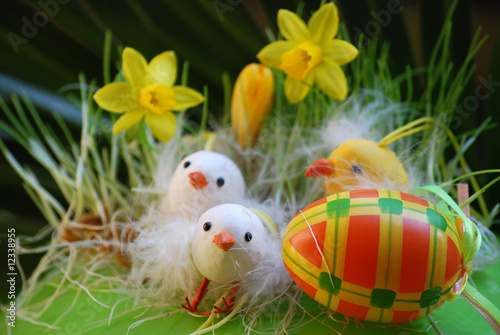 Poussins de Pâques photo