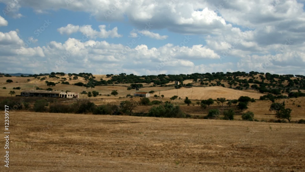 Field of dry grass