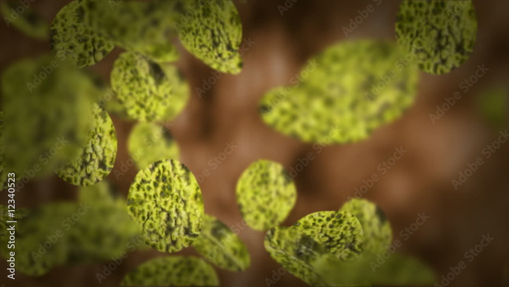 Microscopic virus cells with low dof Microscopic virus cells with low dof