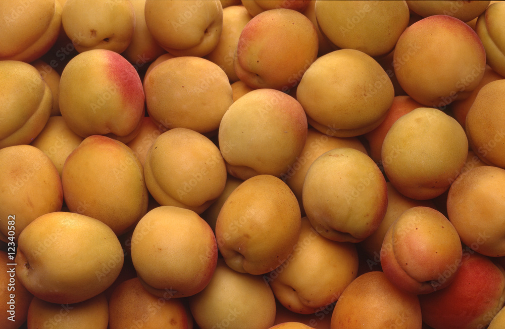 apricots group