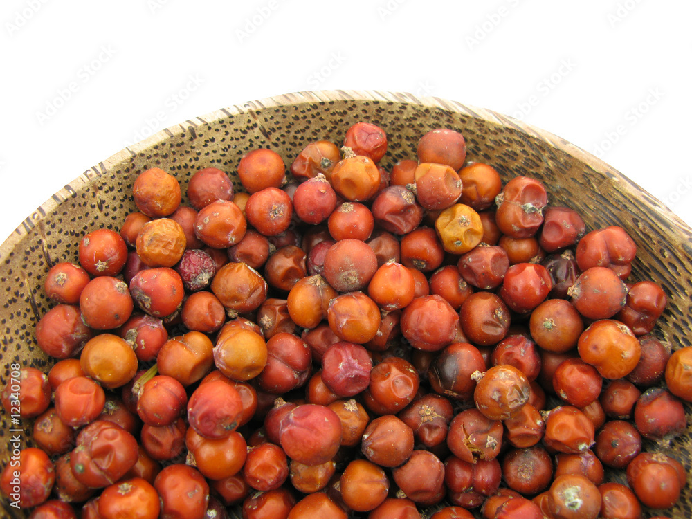 Juniperus red berries Juniperus red berries