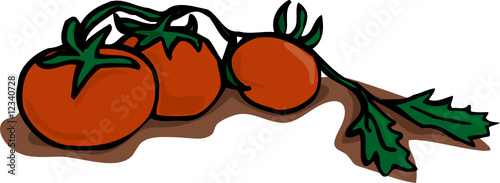 Tomaten an einer Rispe