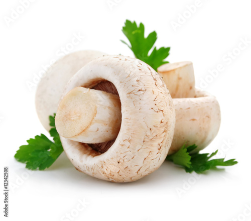 mushroom champignon fruits with green parsley leaves