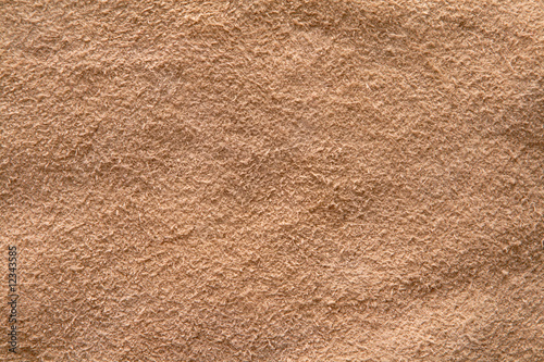 shammy texture
