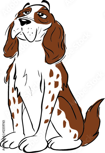 Spaniel sitting