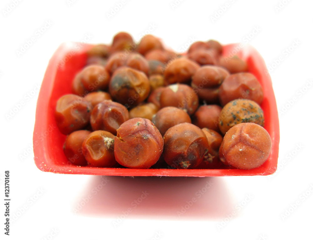 Obraz premium Red juniperus berries