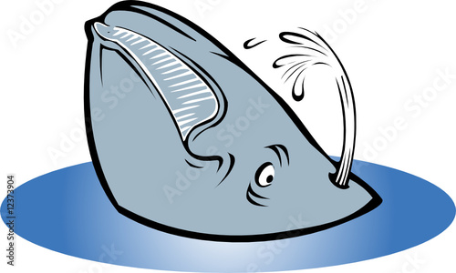 whale
