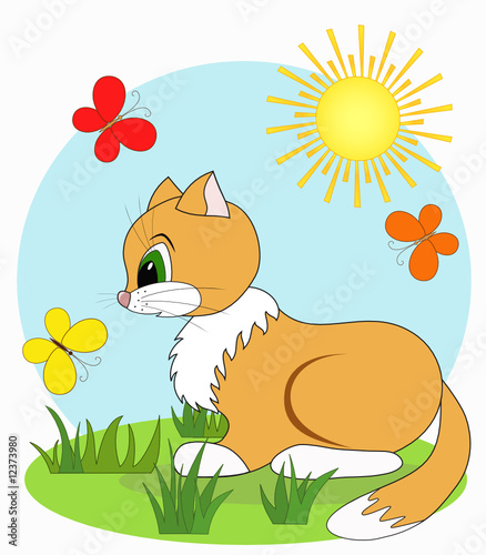 Cartoon baby cat, vector illustration.
