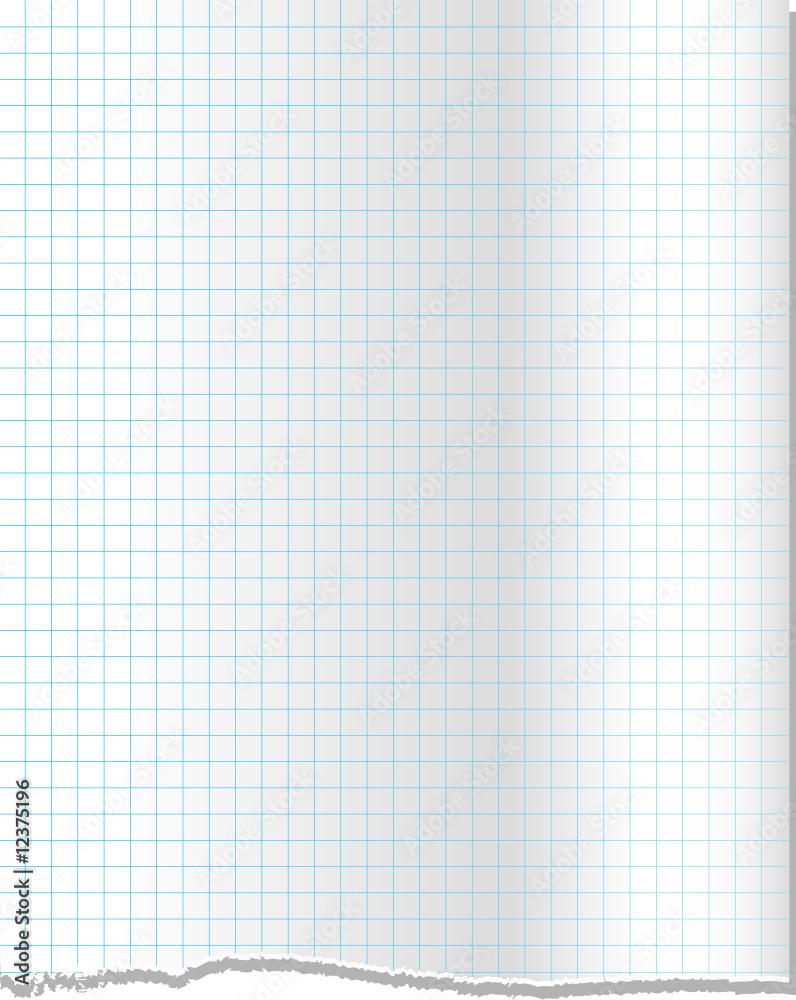 torn graph paper torn graph paper