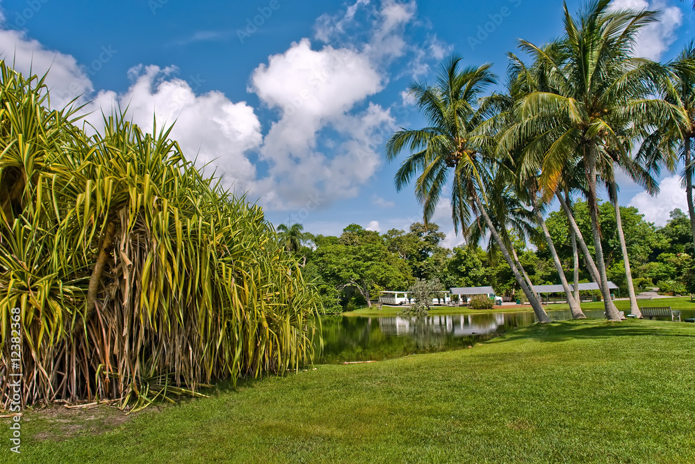 Fairchild tropical botanic garden, FL, USA