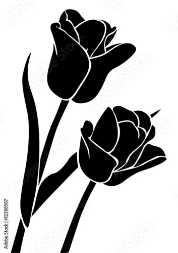 tulips walltattoo
