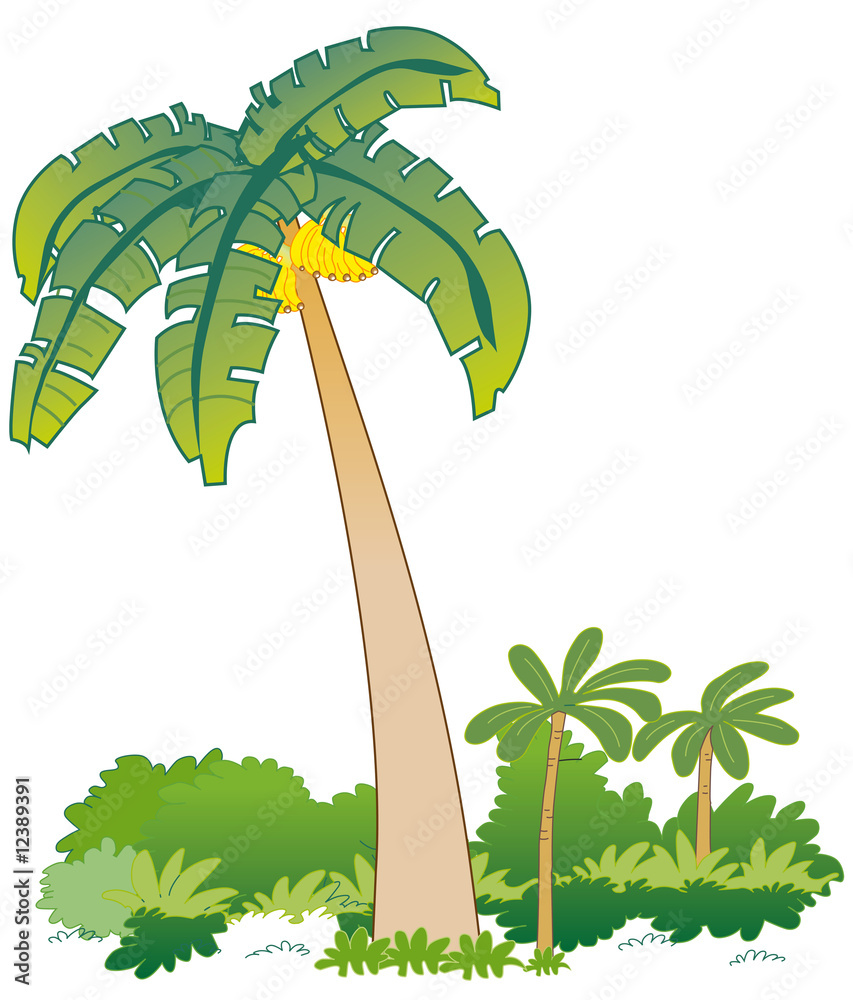 Naklejka premium banana tree