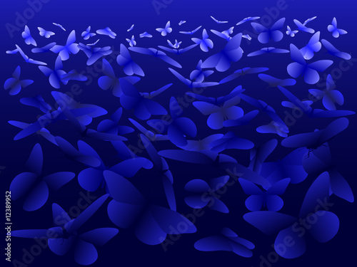 Butterfly Gradient Blue