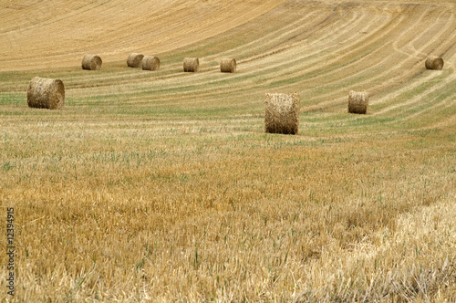 Fotografie meules de blé