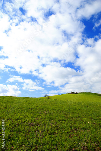 Grassland panorama