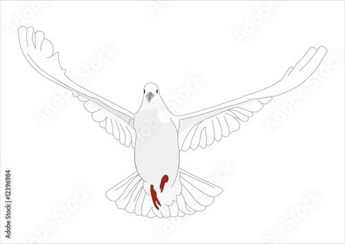 fliegende weiße Taube