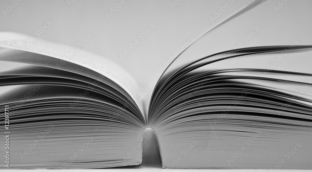 Buch Buch